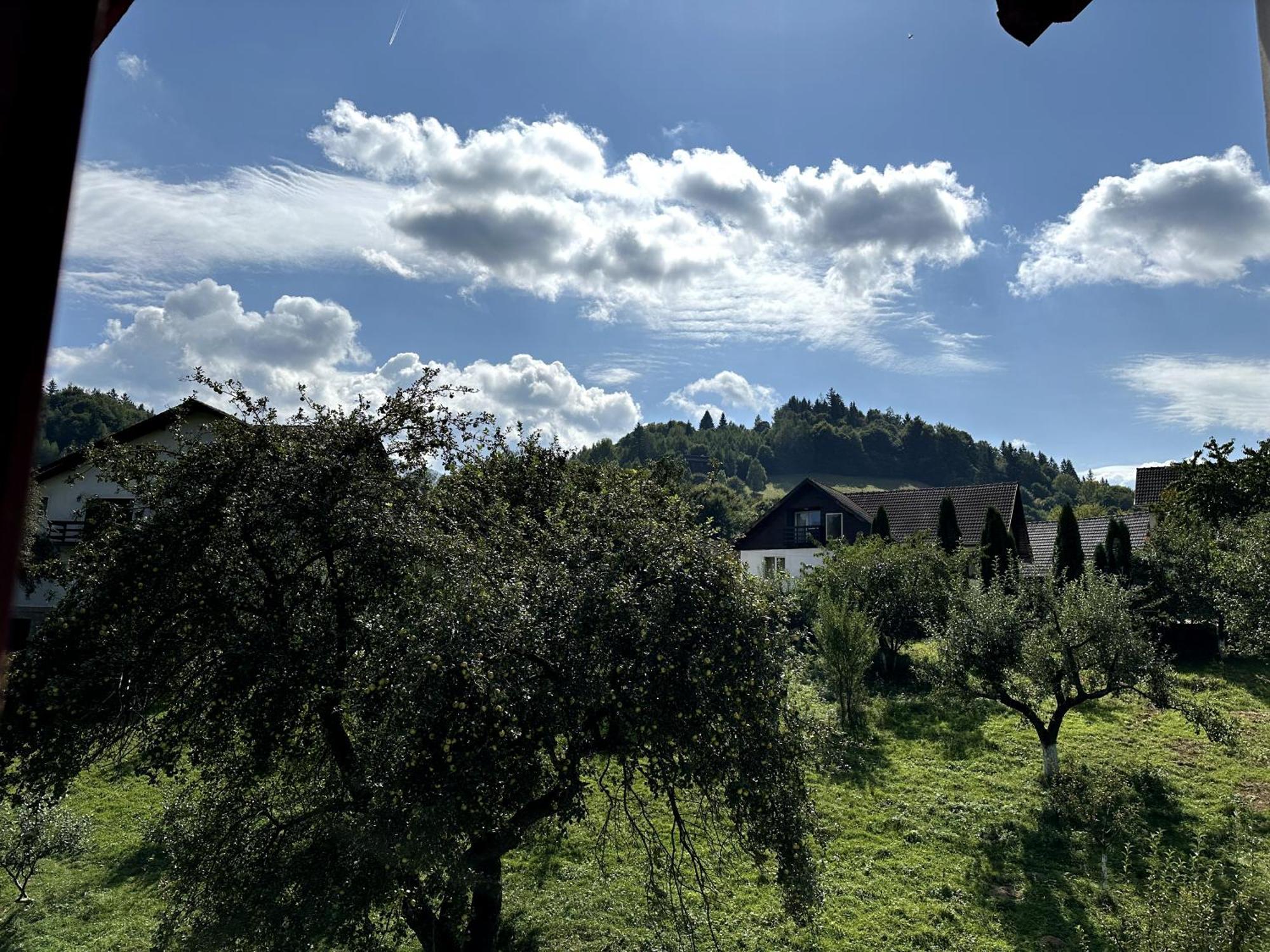 Pensiunea Bianca Bran  Esterno foto