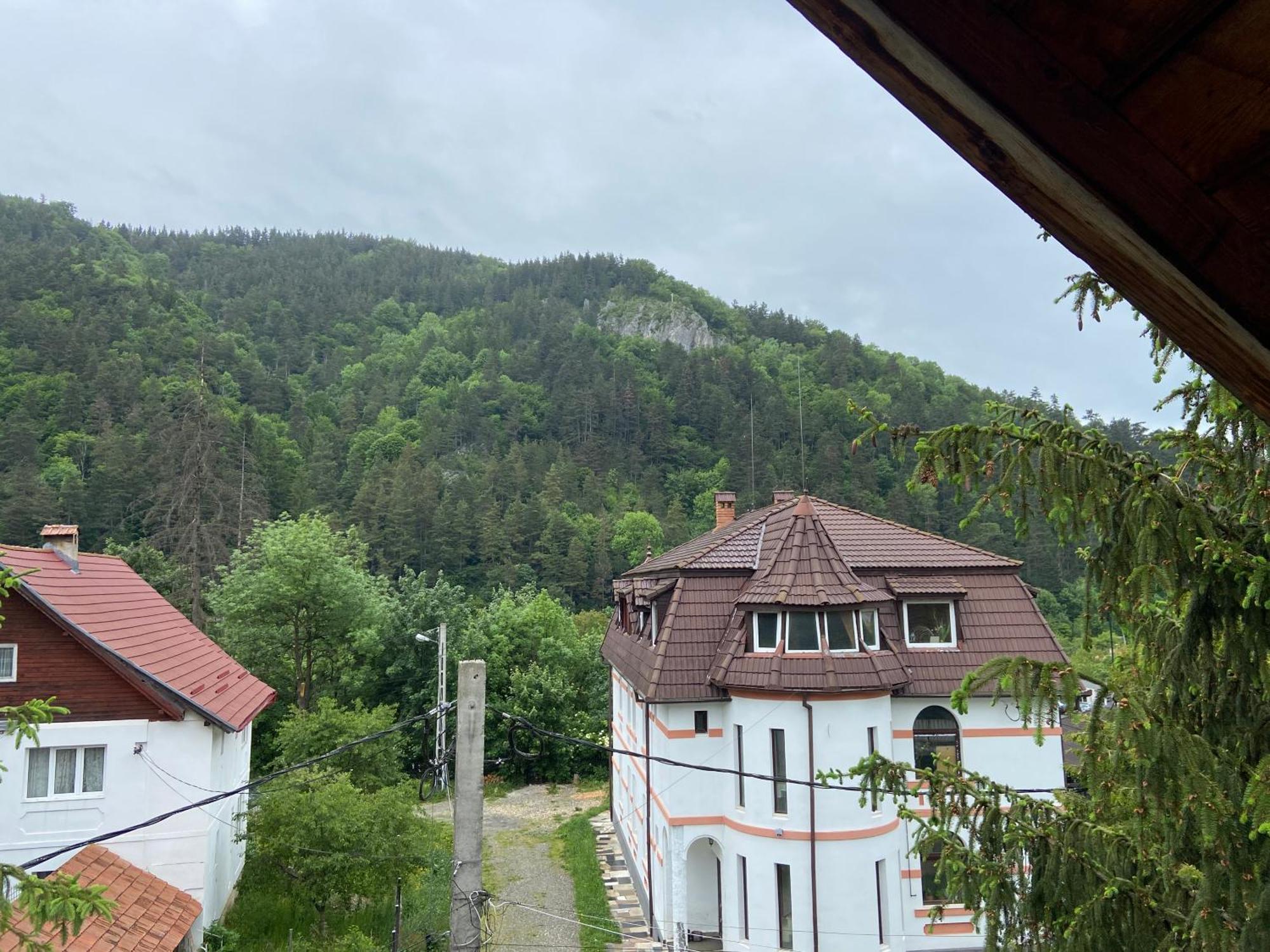 Pensiunea Bianca Bran  Esterno foto